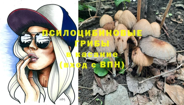 стаф Абинск