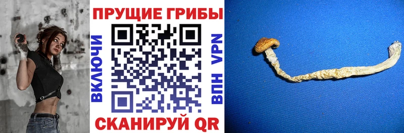 Галлюциногенные грибы мухоморы  Весьегонск 